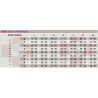 MONOCOLLANT SX CORTO MEDIVEN PLUS PRIMA CLASSE DI COMPRESSIONE BEIGE