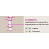 GAMBALETTO CORTO DUOMED SECONDA CLASSE DI COMPRESSIONE