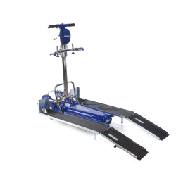 MONTASCALE UNIVERSALE A CINGOLI PORTATA 150Kg