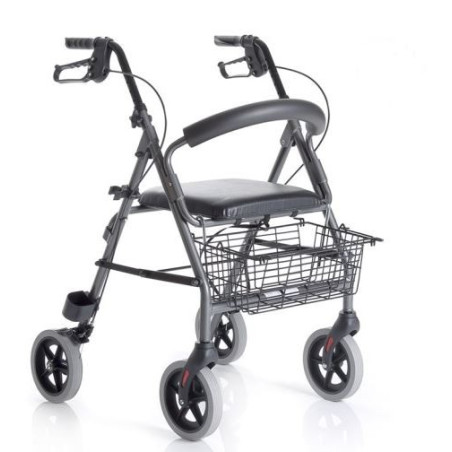 ROLLATOR PIEGHEVOLE IN ALLUMINIO VERNICIATO