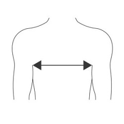 COPRISPALLO ANATOMICO